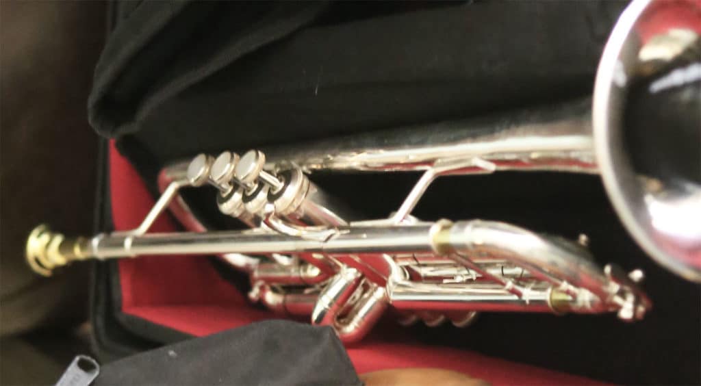 Trumpetincase1600